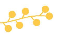 【教研活动】深耕中考复习 赋能高效课堂——英语组教研活动简报 第5张