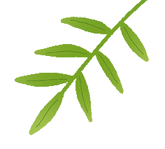 【教研活动】深耕中考复习 赋能高效课堂——英语组教研活动简报 第7张