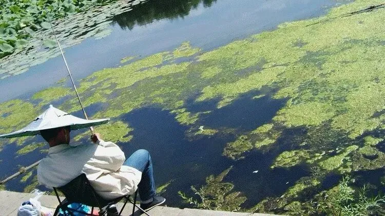 石家庄市中考物理一模试卷分析及复习指导 第1张