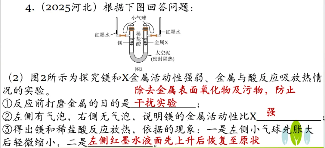 2026年中考化学专题复习金属画的化学密码 第27张