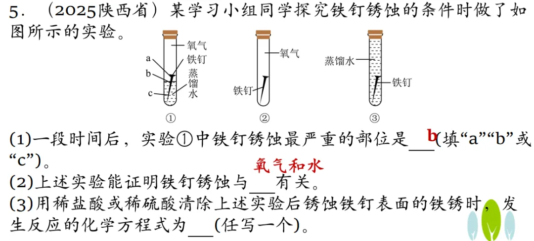 2026年中考化学专题复习金属画的化学密码 第28张