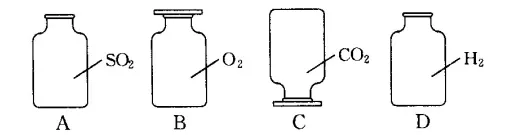 初中化学中考复习 第六单元碳与碳的氧化物 第4张
