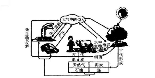 初中化学中考复习 第六单元碳与碳的氧化物 第8张