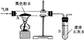 初中化学中考复习 第六单元碳与碳的氧化物 第12张