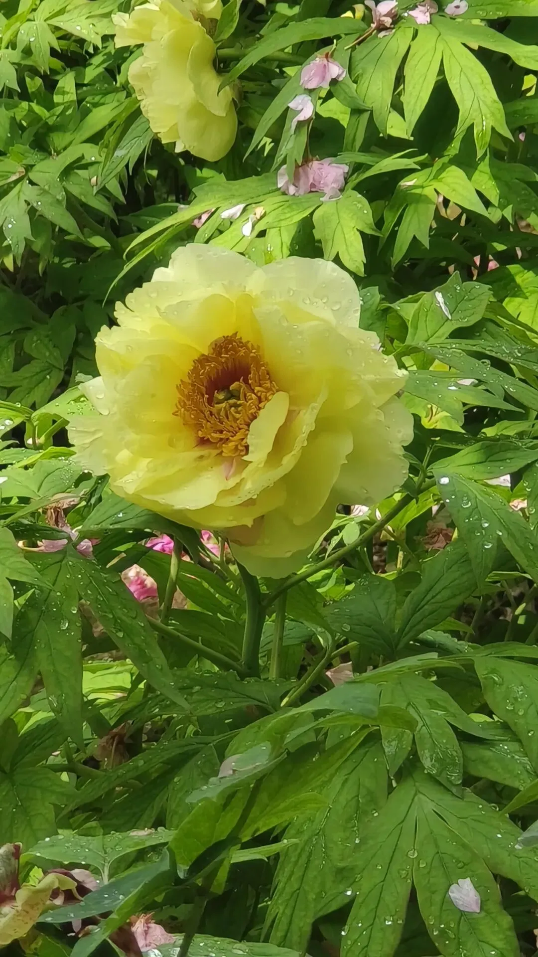 【高三各地模拟试卷】2026届广东广州市普通高中毕业班综合测试(二)数学(含答案) 第15张