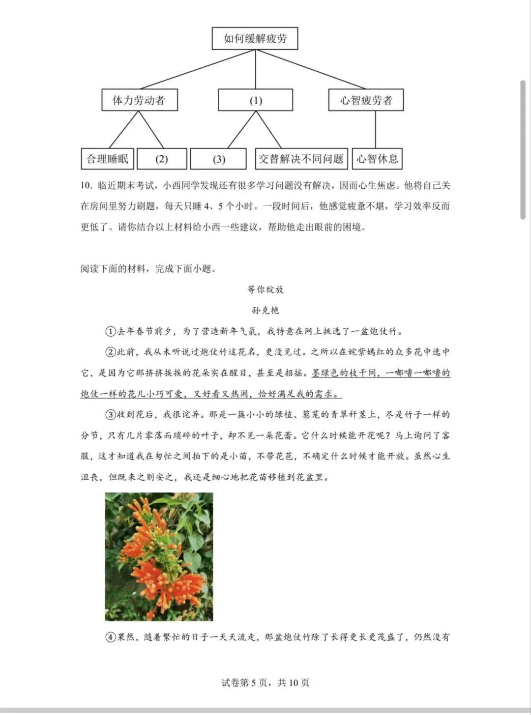 七年级语文期中考试卷 第5张