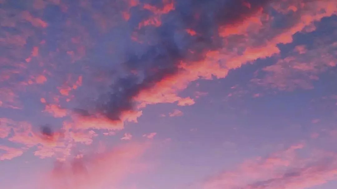 中考作文高分突破|2026黄浦区初三二模《身边的小店》 第4张