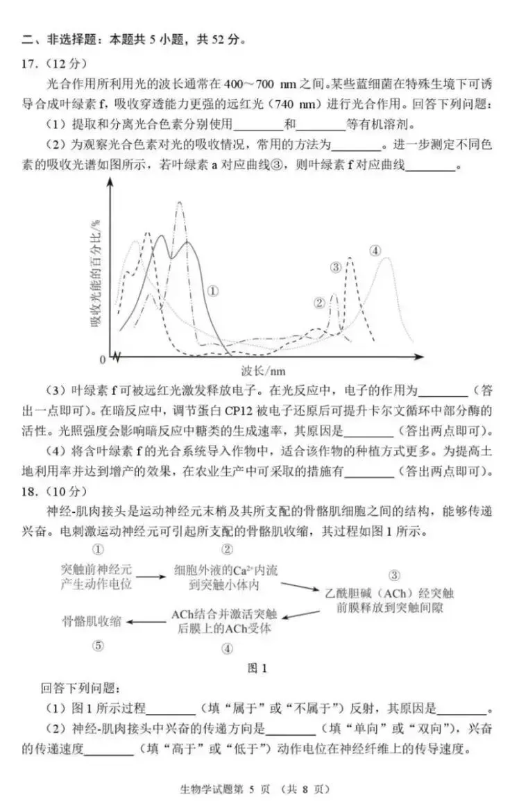 2026年河南省高三适应性考试生物学试卷及答案(附全九科pdf下载) ⊙ 第11张