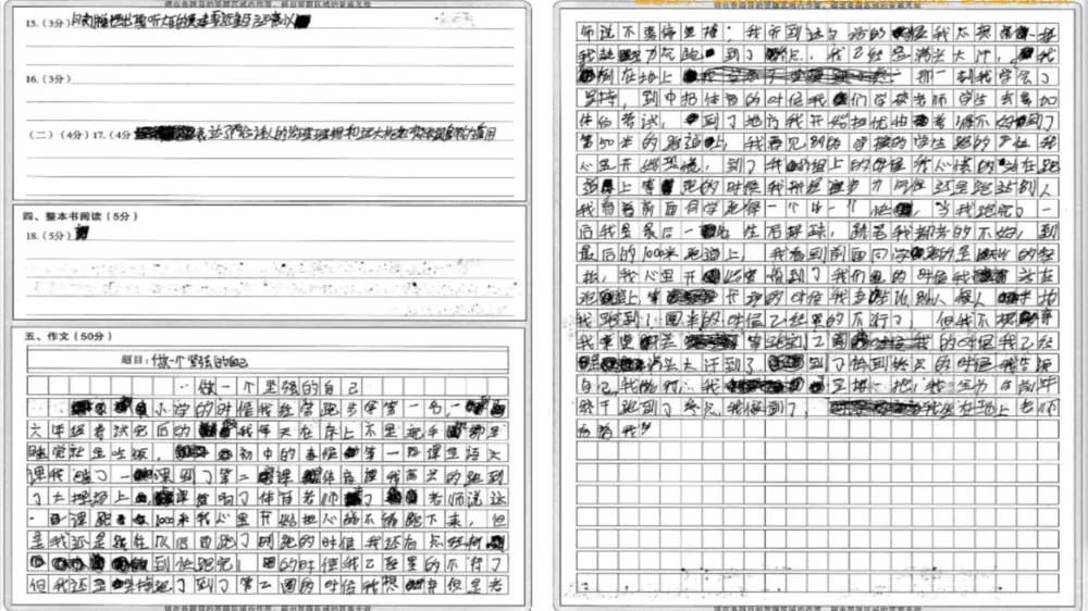 2026年初中学业水平考试第一次模拟语文试卷分析 第65张