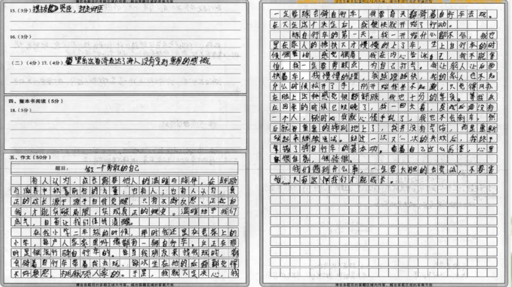 2026年初中学业水平考试第一次模拟语文试卷分析 第66张