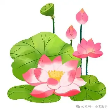 2026年中考道法主观题强化题库60题9份 第10张