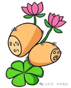 2026年中考道法主观题强化题库60题9份 第11张