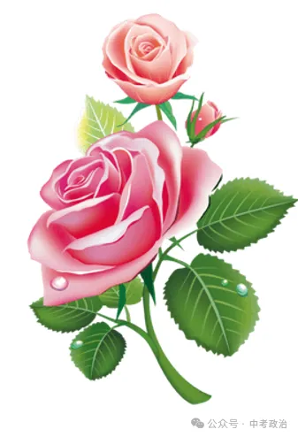 2026年中考道法主观题强化题库60题9份 第12张