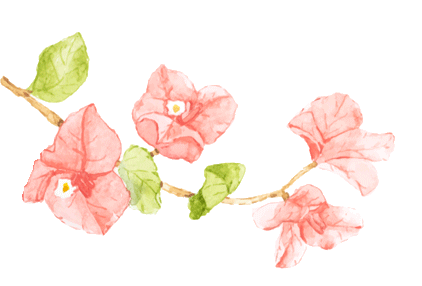 精准视导促提升 深耕教学备中考 第6张