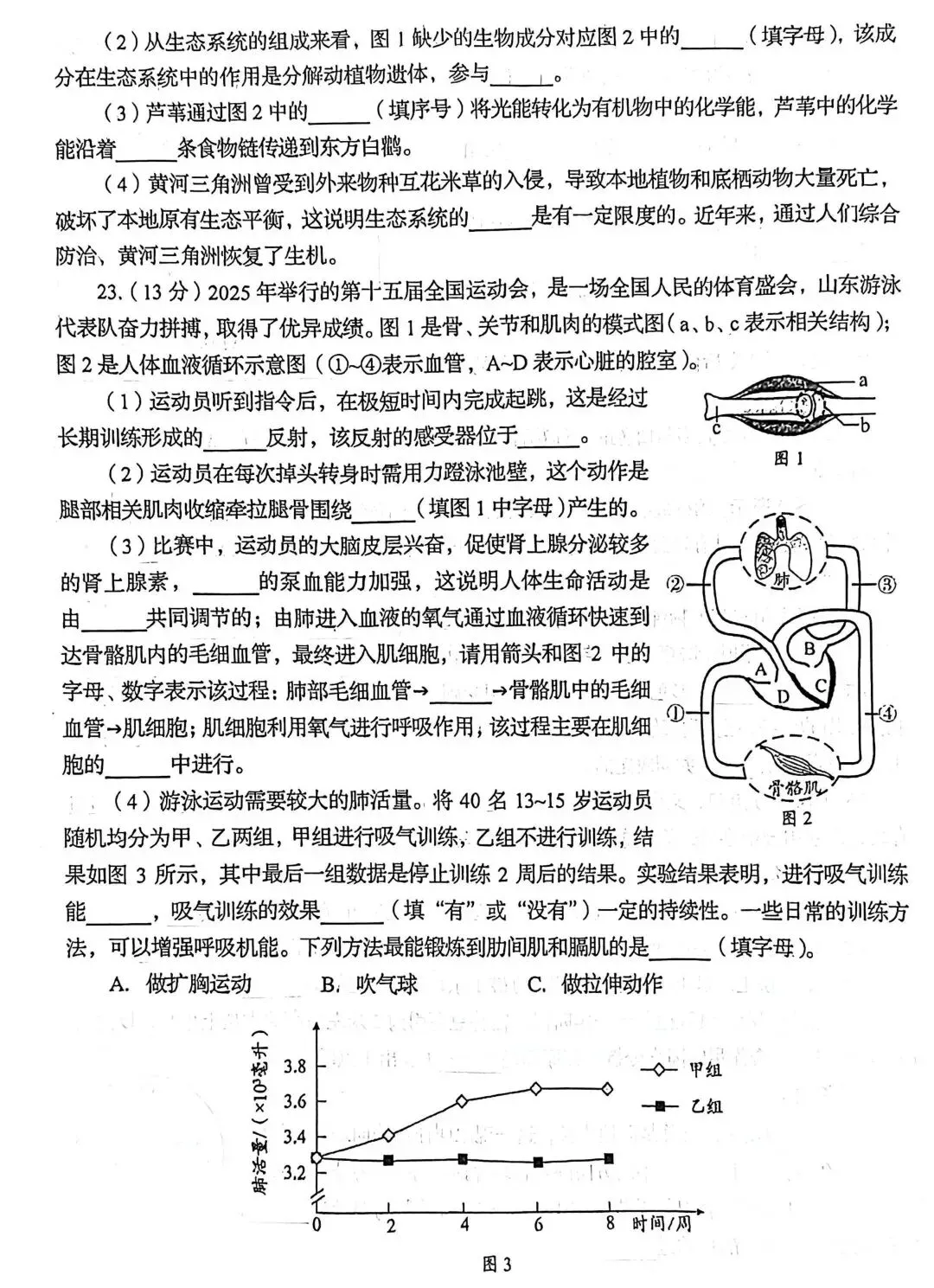 2026年山东省生物中考样卷+参考参考答案有word文档部分截图 第7张