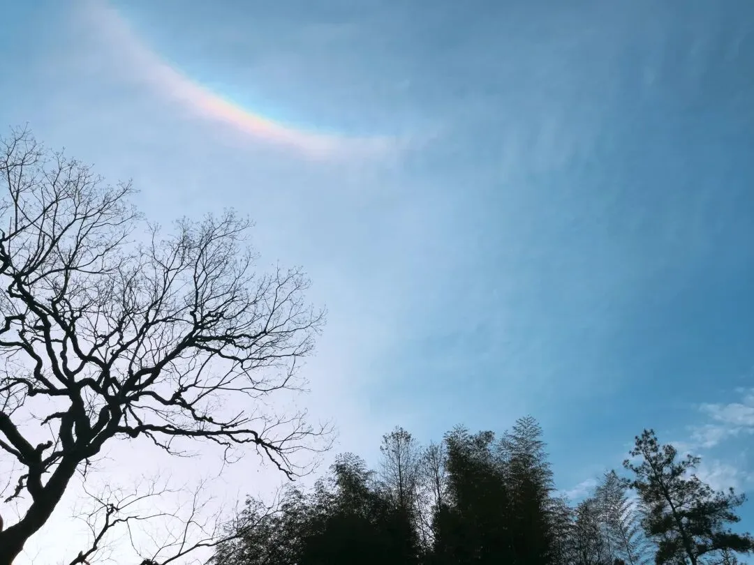 天津家长晚上7点要试卷,老师暴怒怼人后被停课:家校最大的矛盾,从来不是小事,而是情绪 第2张