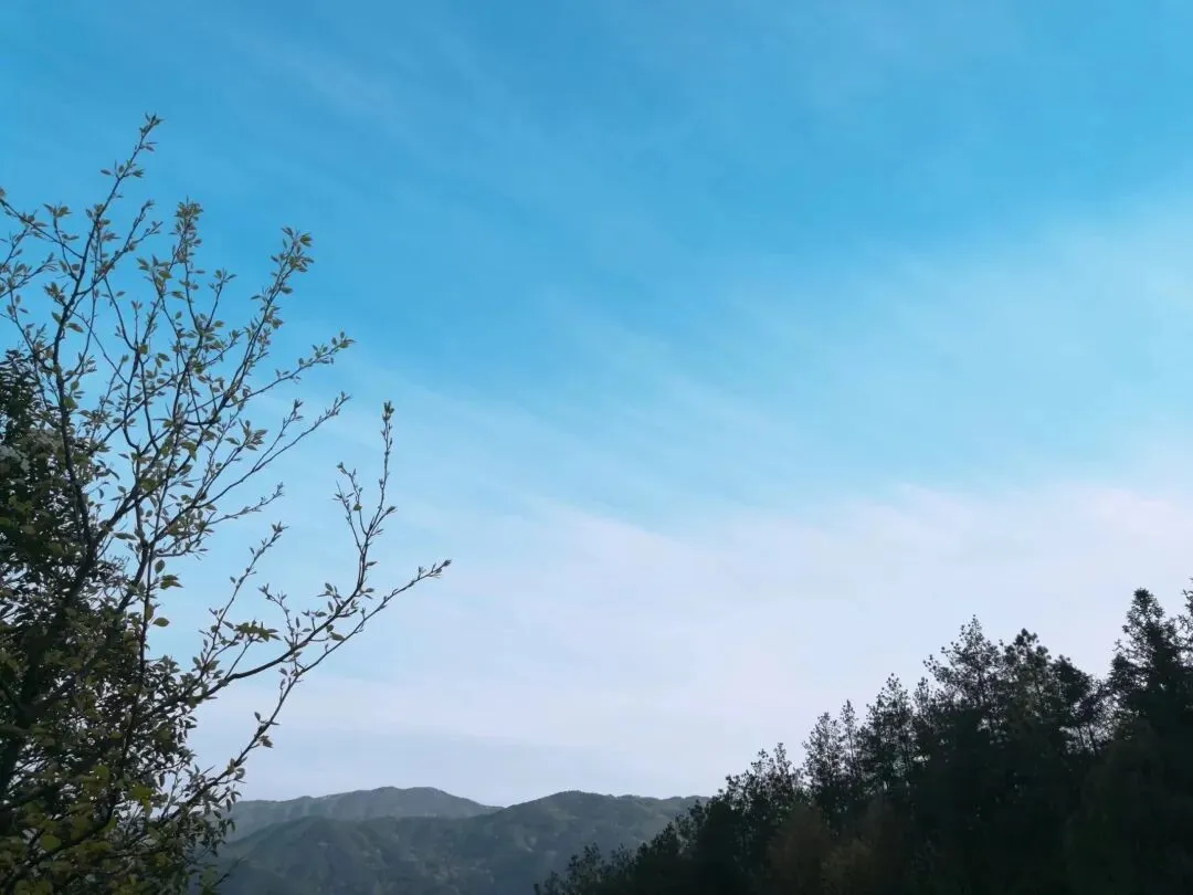 天津家长晚上7点要试卷,老师暴怒怼人后被停课:家校最大的矛盾,从来不是小事,而是情绪 第3张