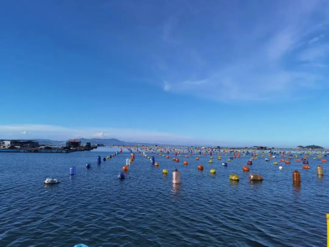 天津家长晚上7点要试卷,老师暴怒怼人后被停课:家校最大的矛盾,从来不是小事,而是情绪 第4张