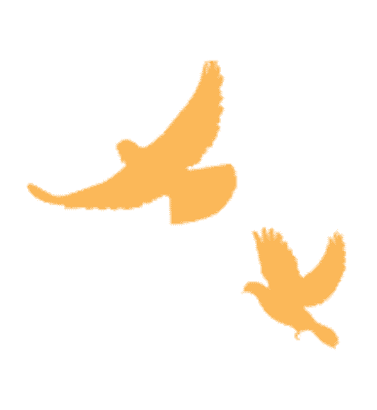 精研真题绽风采 以赛促教提质效|永丰中学2026届高三教师在吉安市“说高考”比赛中喜获佳绩 第7张