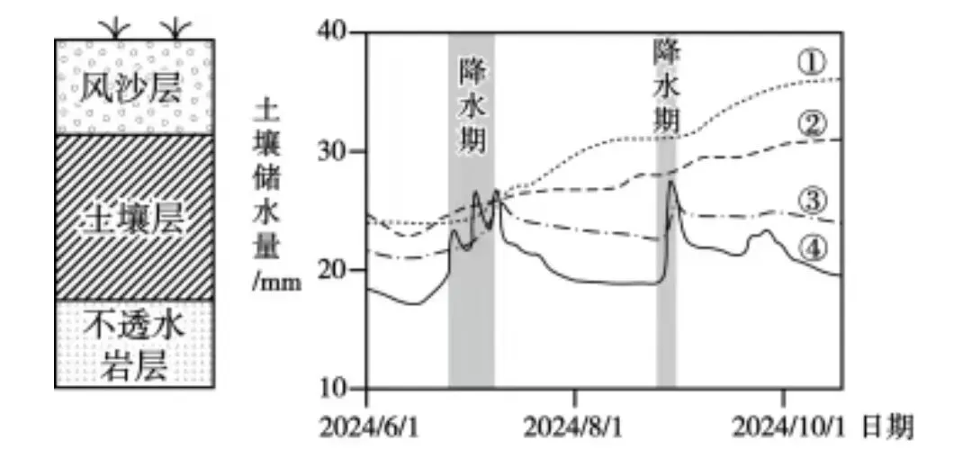 打卡高考真题 风沙层下土壤 第1张