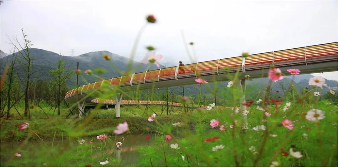 【游园设计】|苏州大学2025真题 第18张