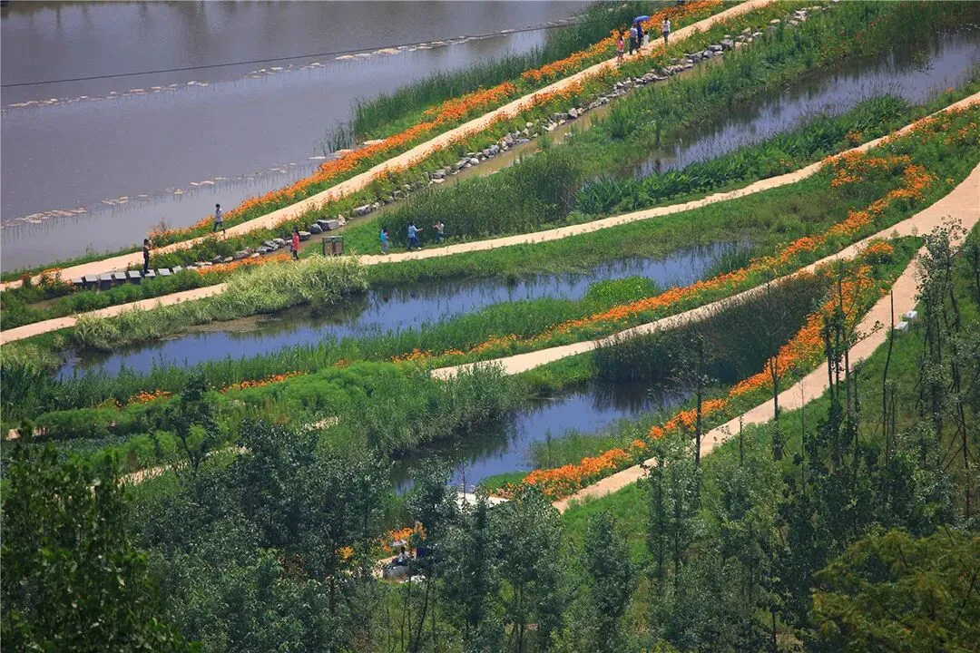 【游园设计】|苏州大学2025真题 第20张