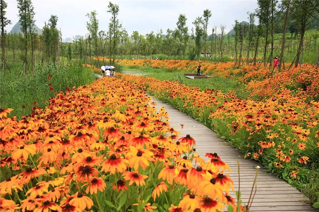 【游园设计】|苏州大学2025真题 第26张