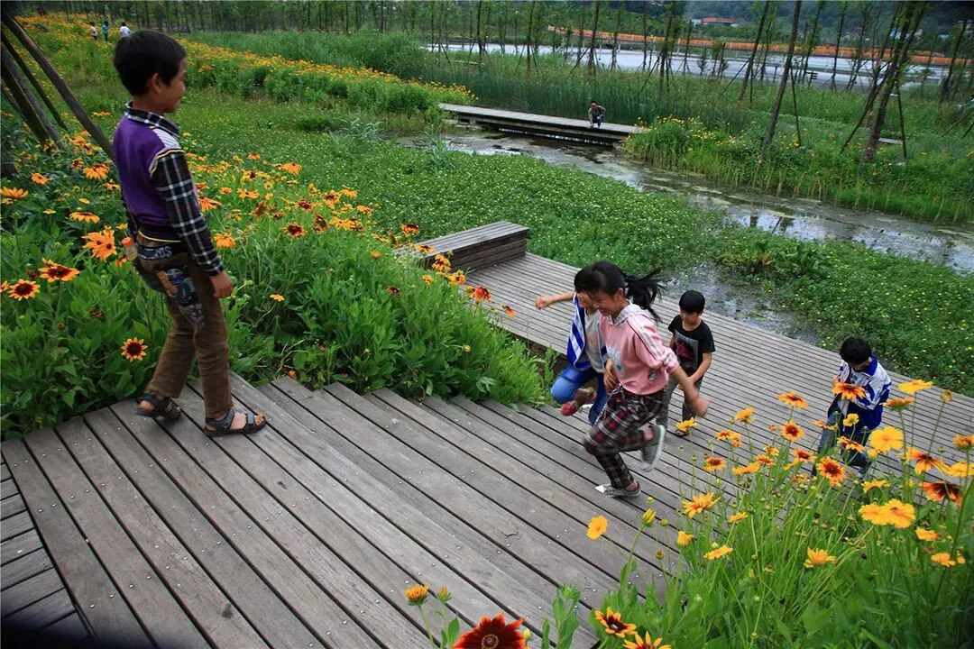 【游园设计】|苏州大学2025真题 第29张