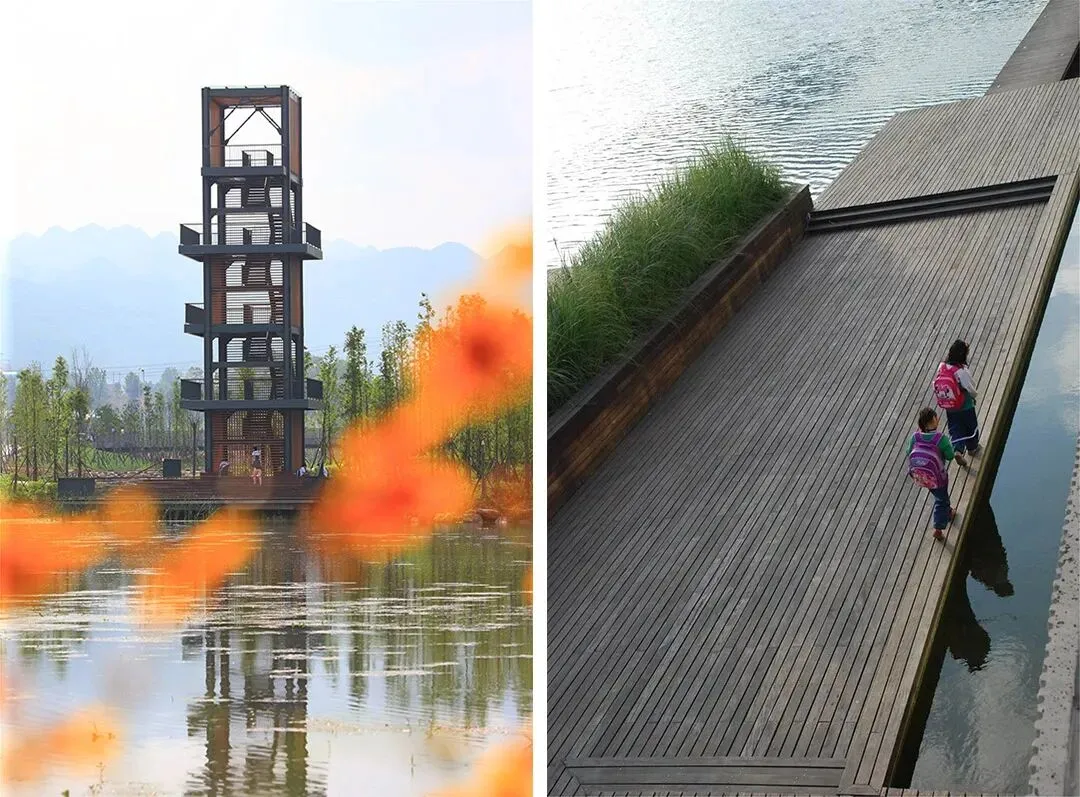 【游园设计】|苏州大学2025真题 第37张