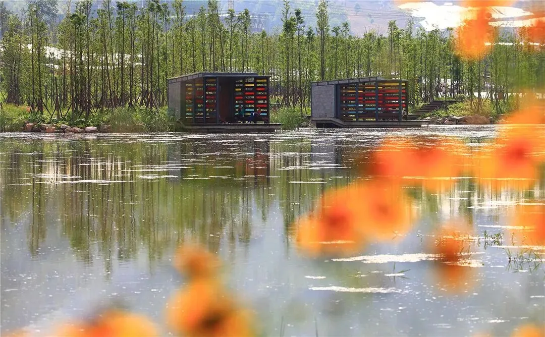 【游园设计】|苏州大学2025真题 第38张