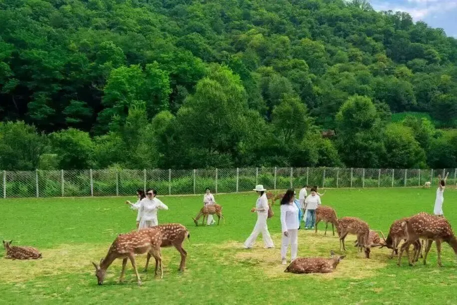 2026年安徽中考模拟信息卷(七)数学试卷及答案 第6张