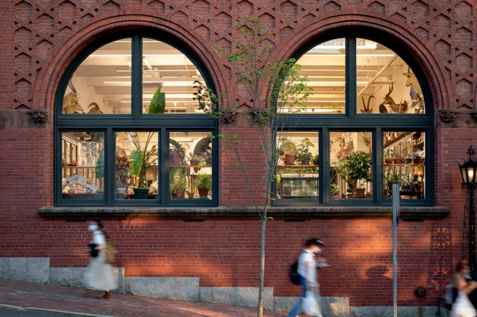 中考后,如何用国际艺术教育重构你的升学路径? 第4张