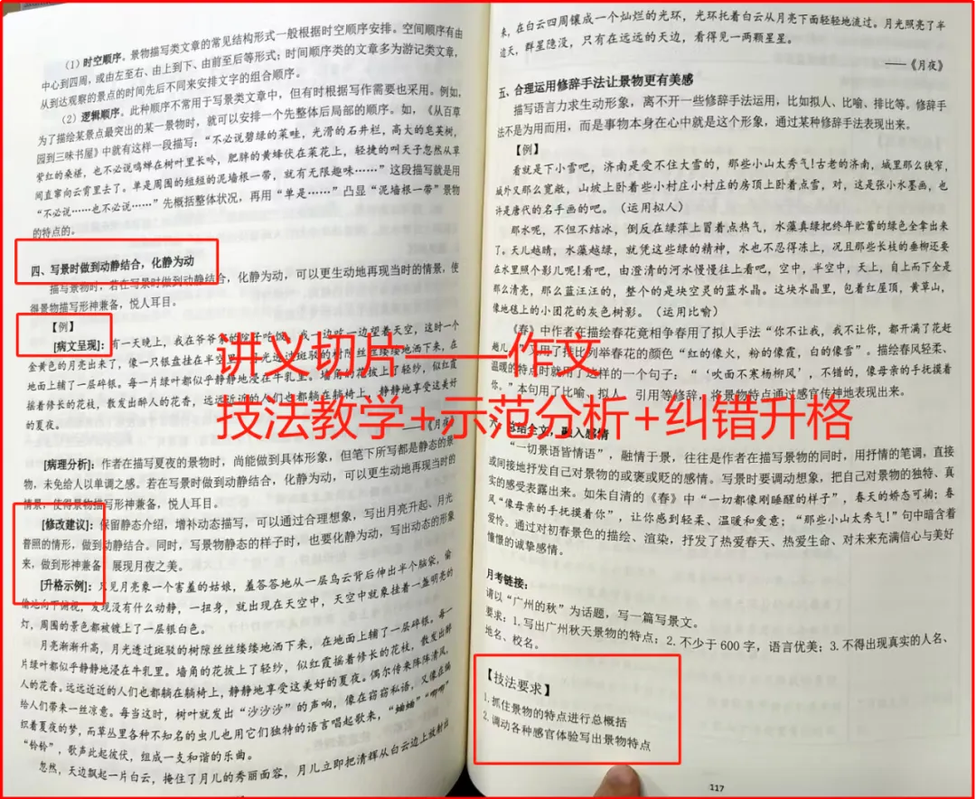 【新初一暑秋】中考领跑:诗文赏析,名著逐浪,读写一体,摸透一张卷 第27张