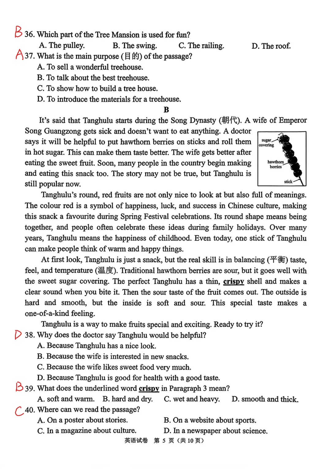 【最新】3套26年七下期中英语真题卷【带答案】 第35张