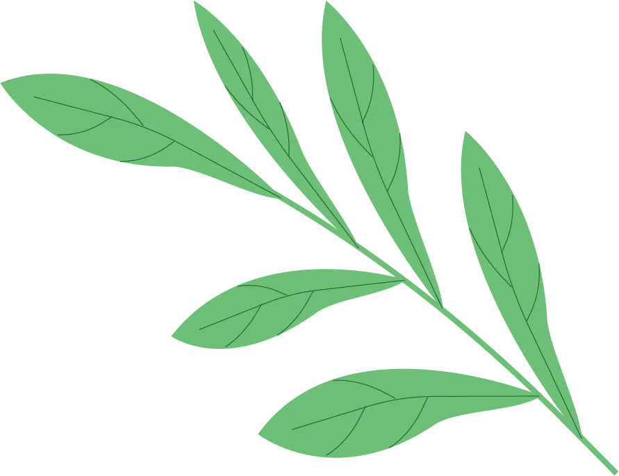 27汉硕考研 || 《现代汉语》真题打卡·day10 第15张