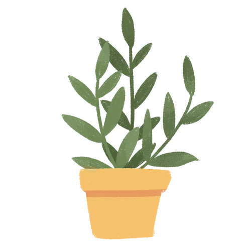 中考一模考试后该怎么做?一模能不能代表中考成绩?家长要做到哪些? 第3张