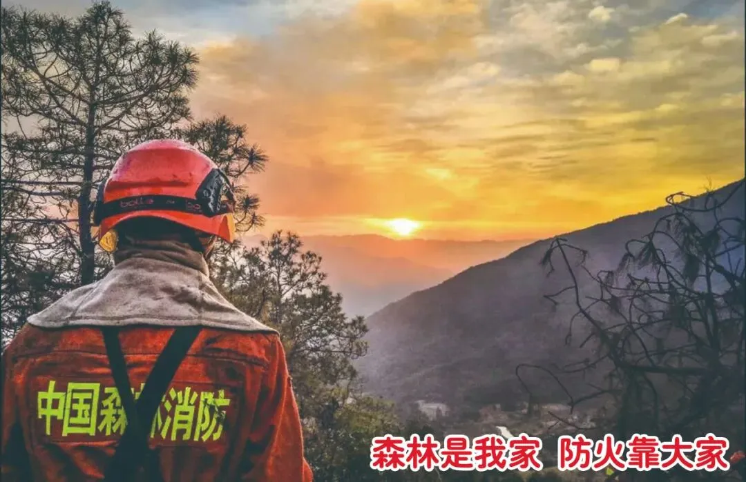 中考静音模式已开启!让我们共同为考生们助力 第7张