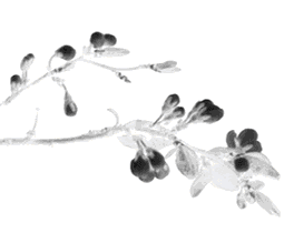 【微快讯】 中考时间定了!河北省教育厅最新通知 第8张