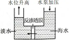2026年中考一模沈阳市浑南区 昌图县杨智超初中化学名师种子工作室 智慧化学教学 出峡飞舟 第10张