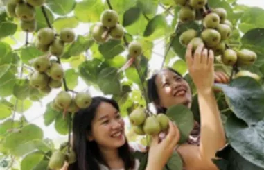 《农业》专题—河北高考地理真题分析与未来考题方向预测 第1张