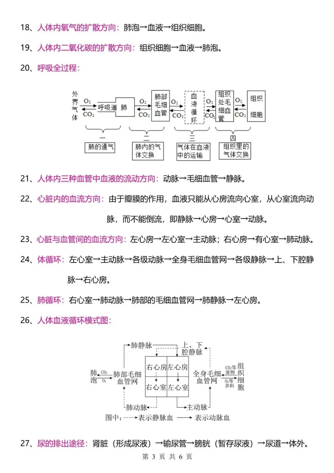 【生物会考】2026中考生物47个常考流程图,背熟这47个流程图,大题直接秒杀! 第3张