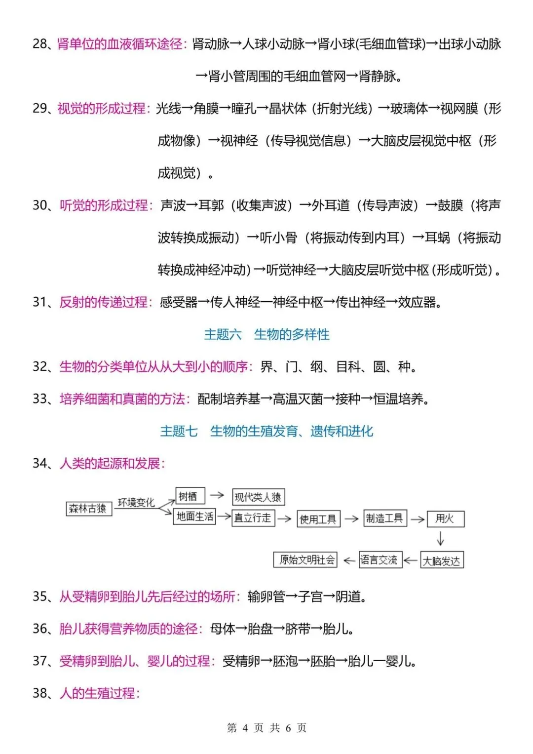 【生物会考】2026中考生物47个常考流程图,背熟这47个流程图,大题直接秒杀! 第4张