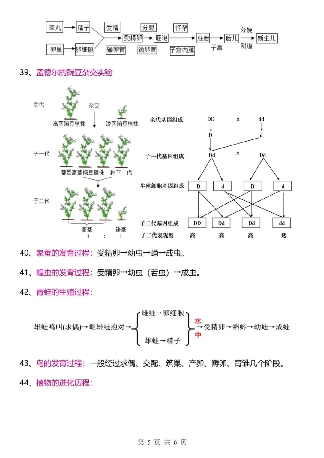 【生物会考】2026中考生物47个常考流程图,背熟这47个流程图,大题直接秒杀! 第5张