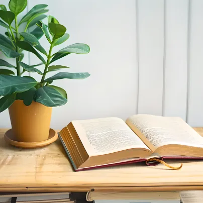 2025郑州二模真题试卷及答案 第1张