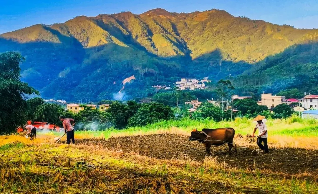 2026届各地高三模拟考诗歌鉴赏题(教师版) 第1张