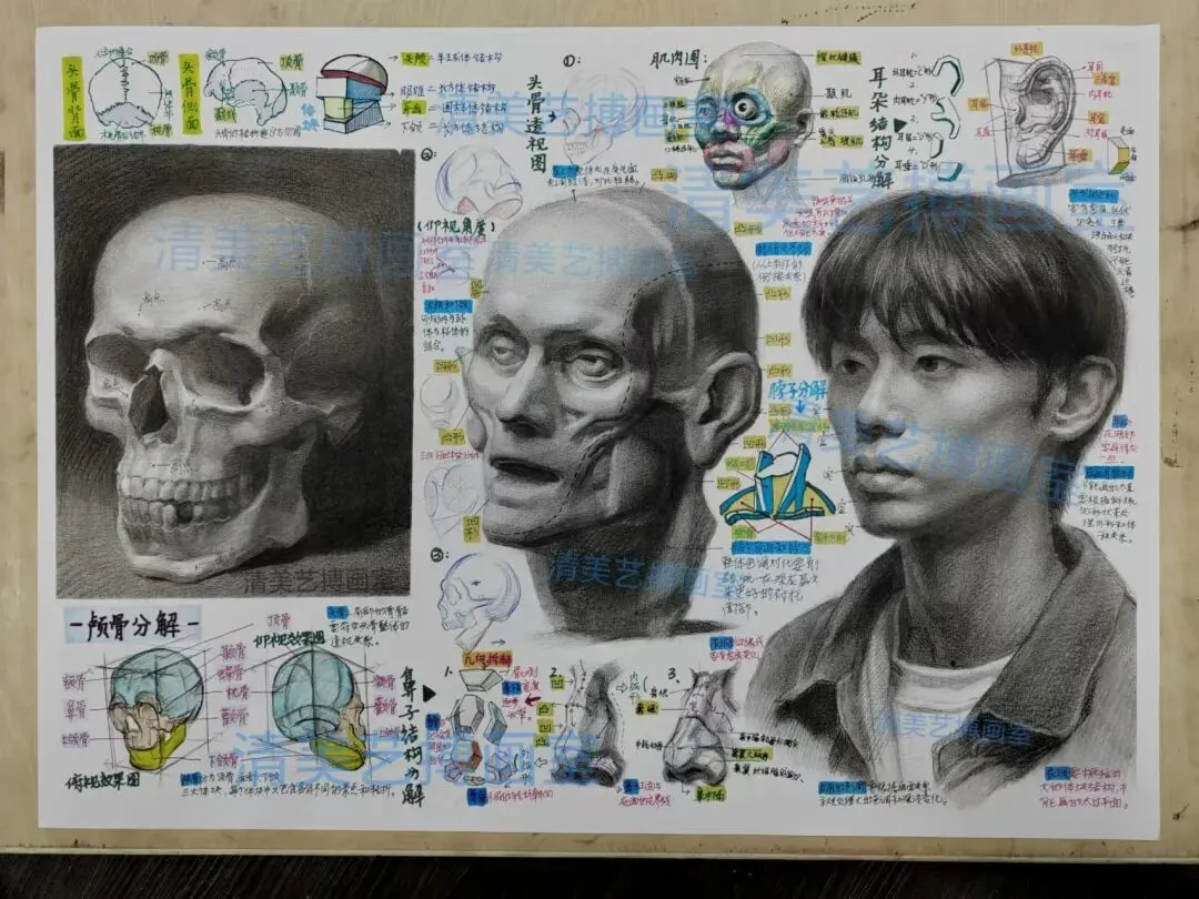 刚刚-2026年北京中考艺术科技特长生政策已发布! 第25张