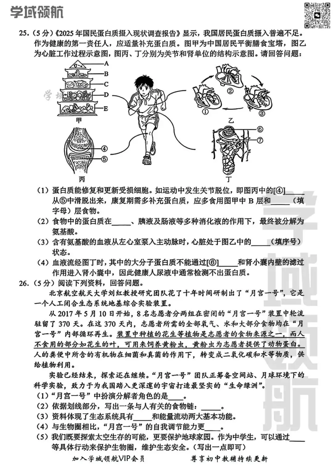 2026年长春市中考二模生物试卷(附答案) 第9张