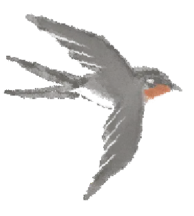 广外真题:守护家园的美好 【原文+苏老师锐评+修改版】 第4张