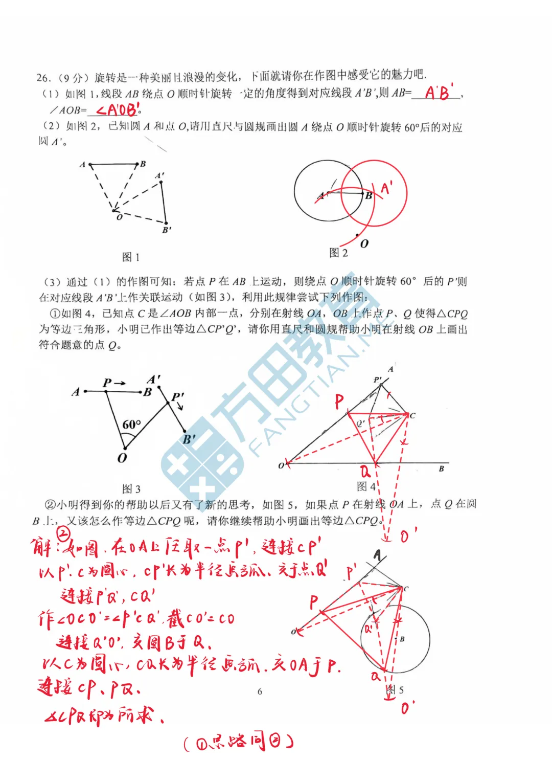 南京初一期中考试|试卷答案及整体评析! 第18张