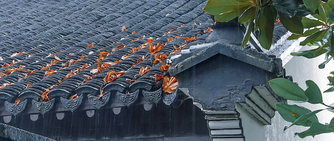 广外真题:守护家园的美好 【原文+苏老师锐评+修改版】 第5张